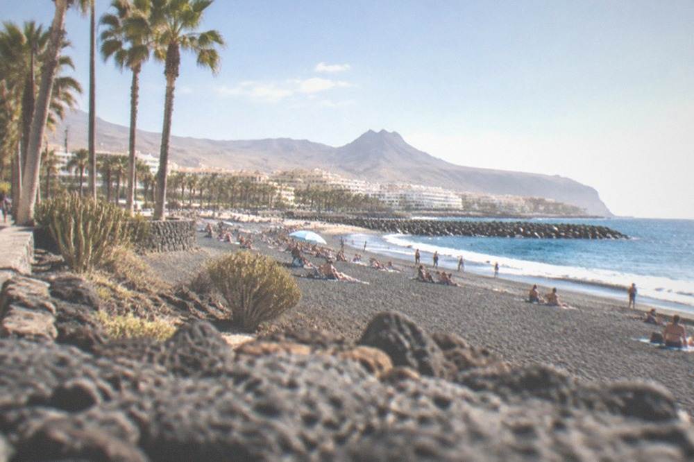 A busy beach promenade in Tenerife with palm trees in winter sunshine