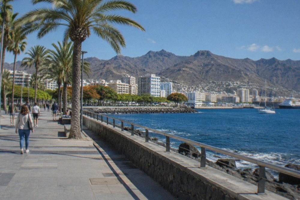 A sunny promenade in south Tenerife with palm trees and calm blue sea in winter