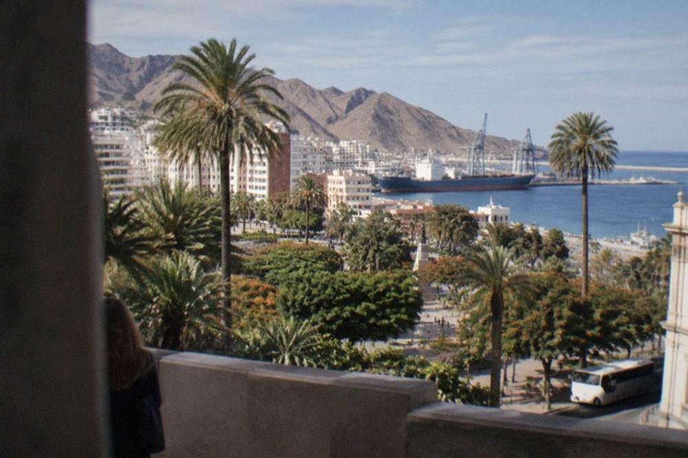 Palm trees and a blue sky over a coastal town in Tenerife in winter