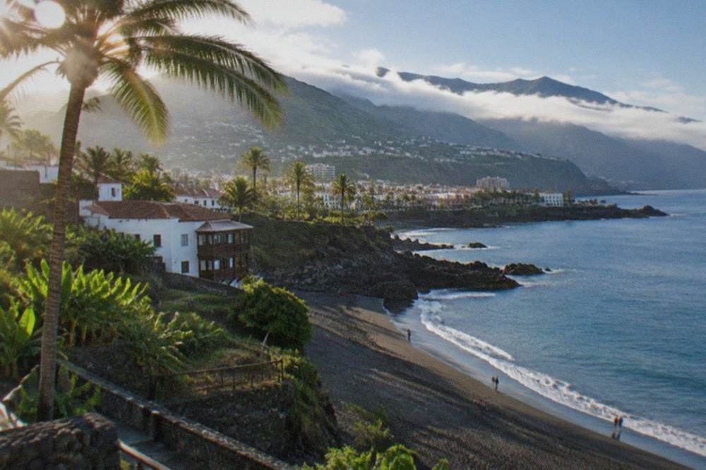 A sunny January morning on a Tenerife beach with palm trees and calm blue water