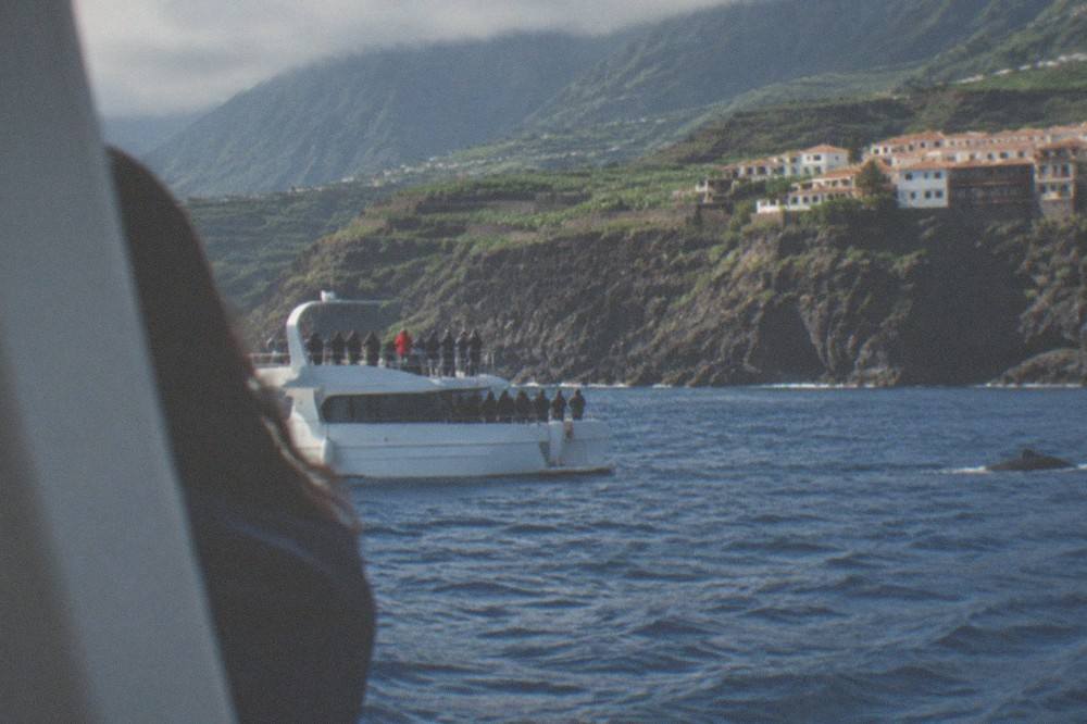 A yacht anchored near cliffs with passengers watching the water for whales