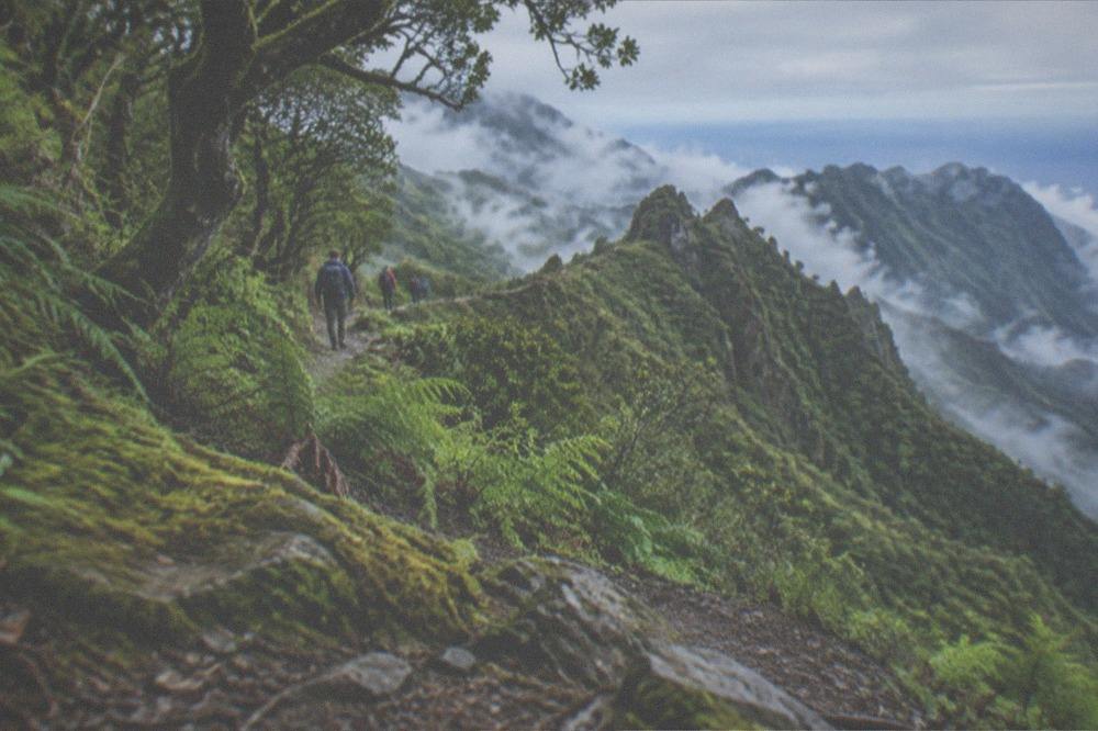 Hikers on a green Anaga ridge trail with clouds below