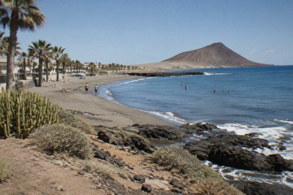 A sunny south Tenerife beach with calm blue water and palm trees