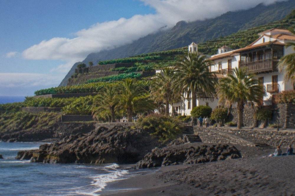 A calm south Tenerife beach under a clear blue sky with palm trees and dark volcanic rock along the shore
