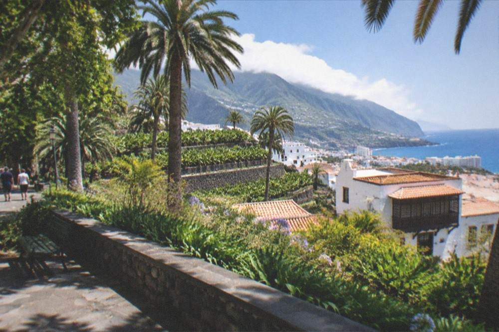 A green subtropical park landscape in Puerto de la Cruz with palms and shaded walkways