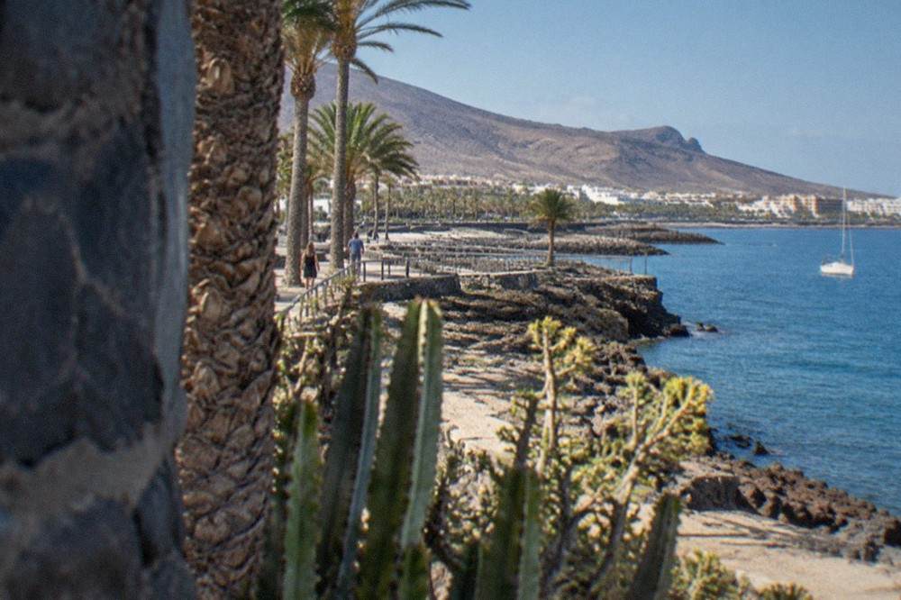 A coastal promenade at Costa Adeje with palm trees and calm blue sea under morning sun