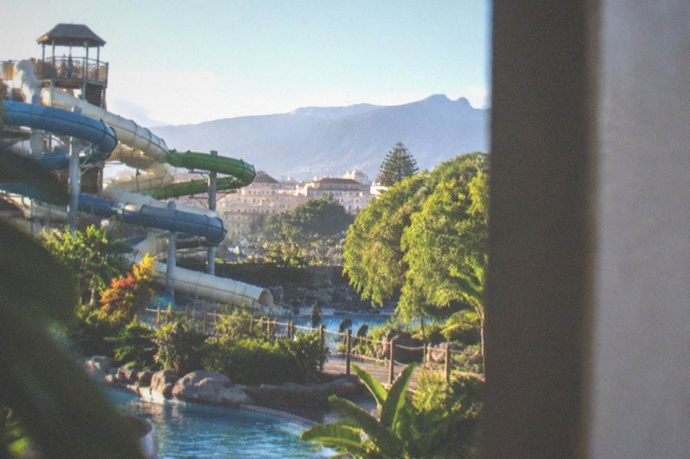 A water park with tall slides and tropical landscaping under a blue sky
