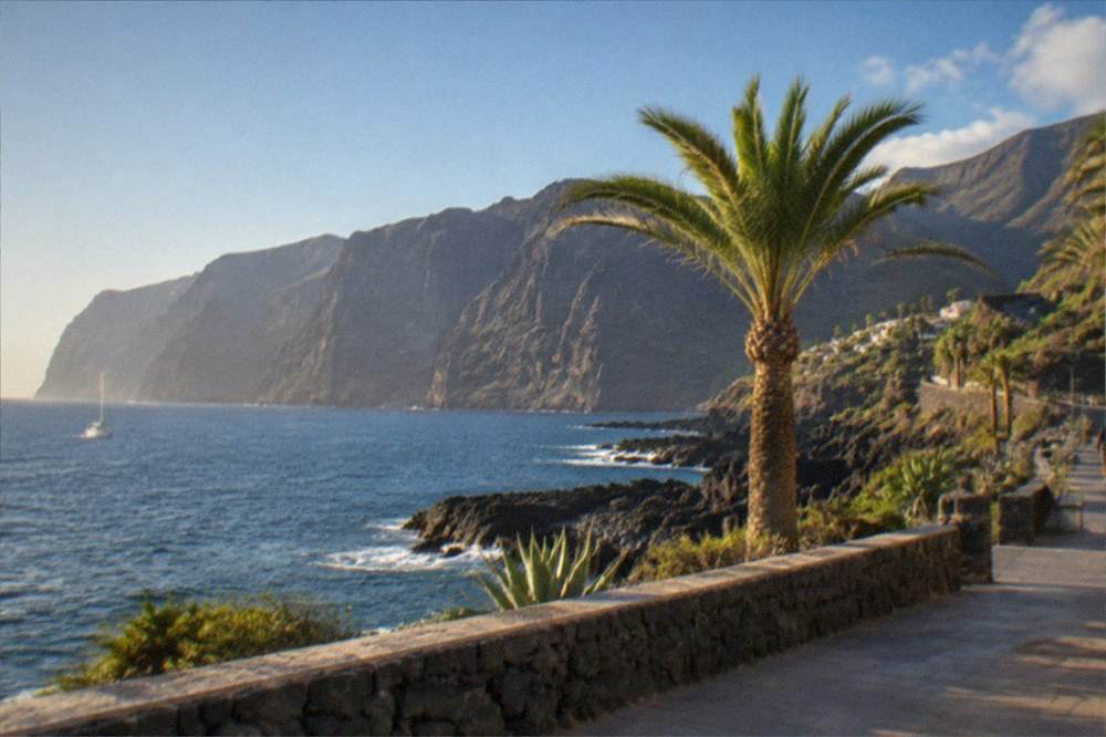 A quiet seaside promenade with palm trees and calm water in early evening light