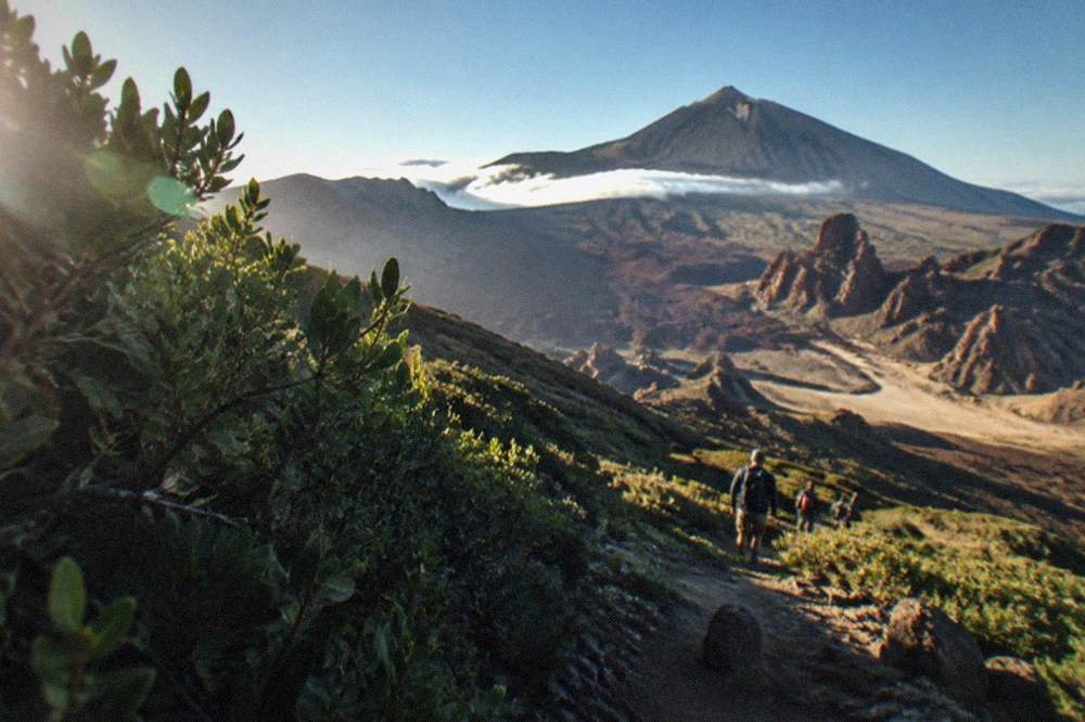 Green laurel forest slopes in the north of Tenerife with low cloud resting on the ridge