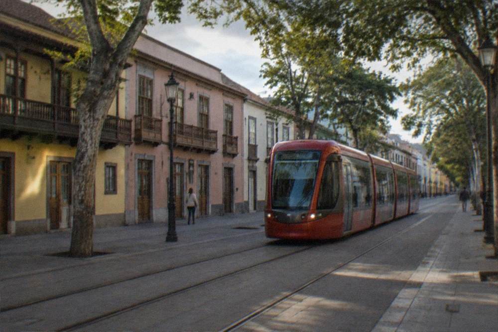 A red tram running along a tree-lined avenue in La Laguna