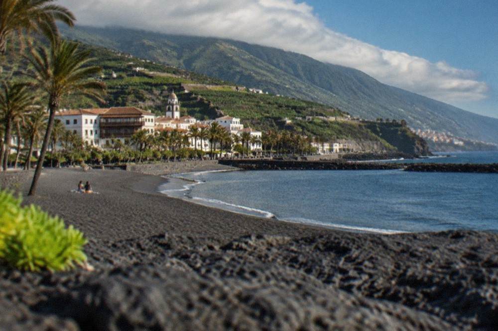 Golden sand and palm trees along a sheltered Tenerife beach with calm water behind breakwaters