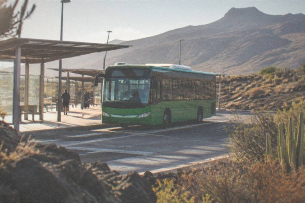 A green public bus parked at a sheltered airport bus stop in daylight