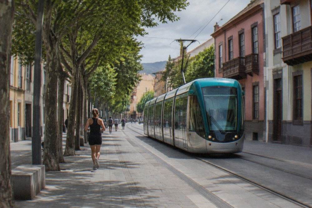 A modern tram travelling along a tree-lined avenue in a Canary Island city