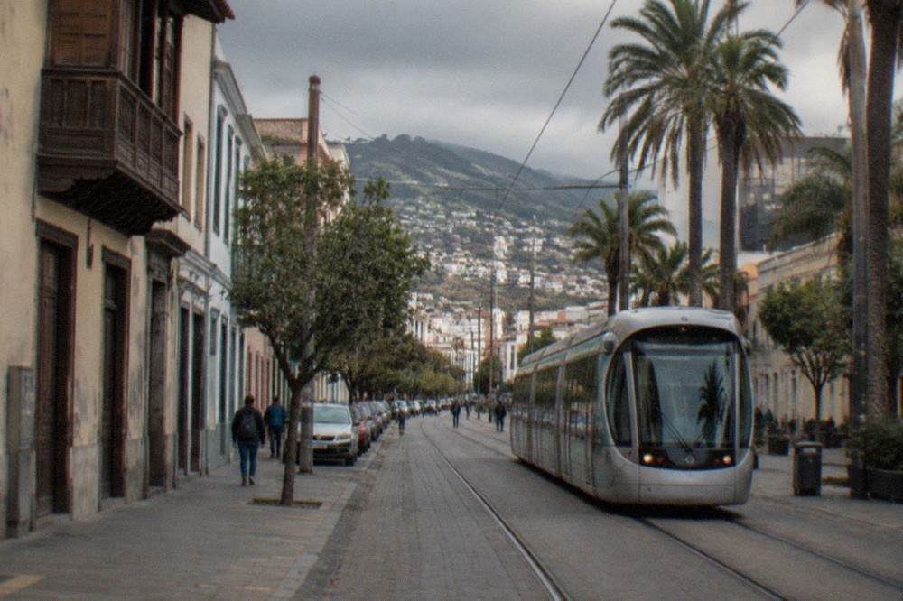 Tram tracks running through a city street with palm trees and modern buildings