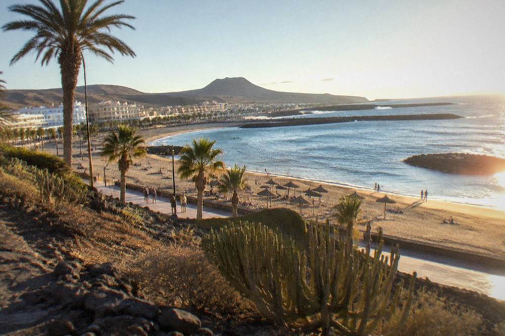 A sheltered golden sand beach at Playa de las Vistas with palm trees and calm water behind stone breakwaters