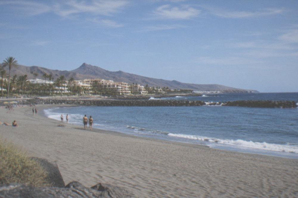 A wide sandy beach at Playa del Duque with palm trees and calm water behind stone breakwaters