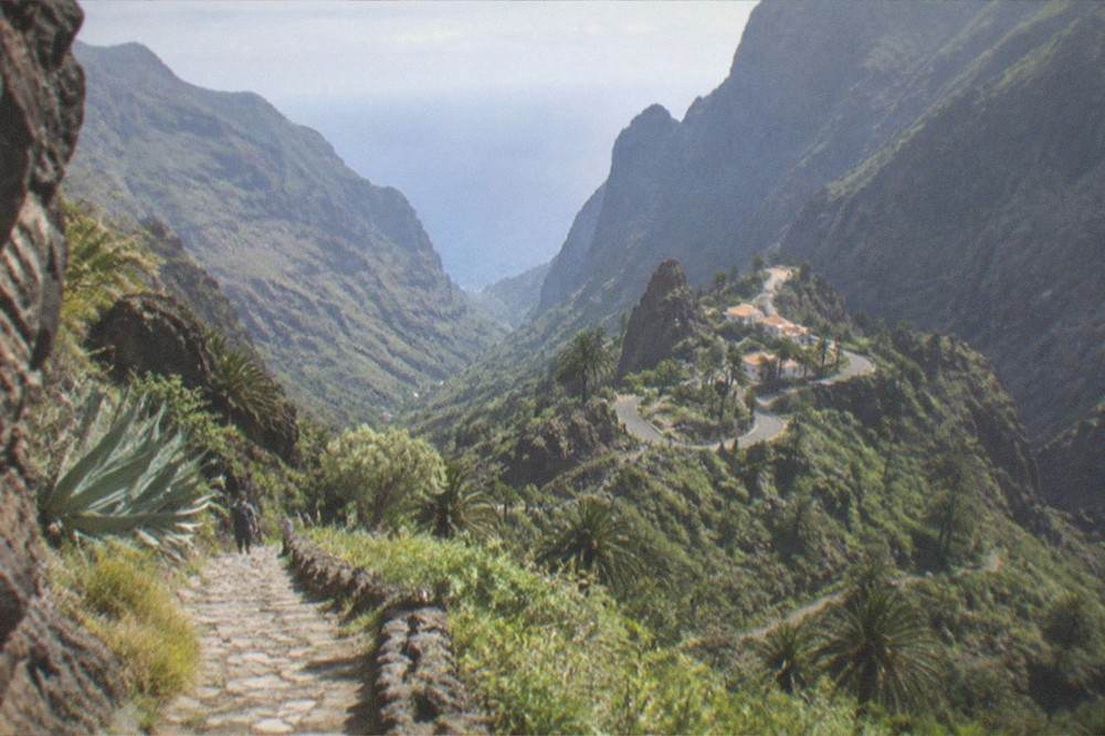A narrow stone trail winding down the green Masca gorge, the sea a distant sliver far below