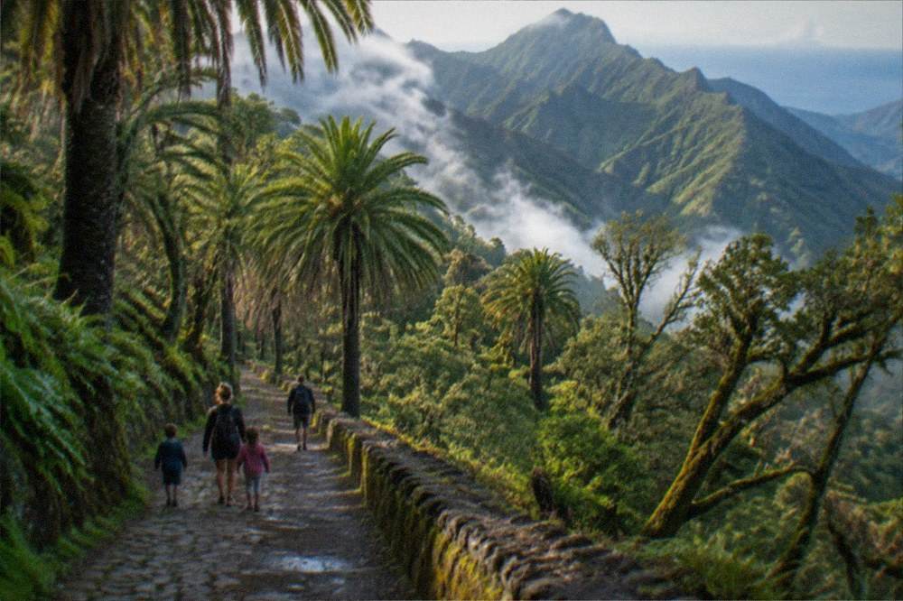 A family with children walking along a water park path between tall palm trees
