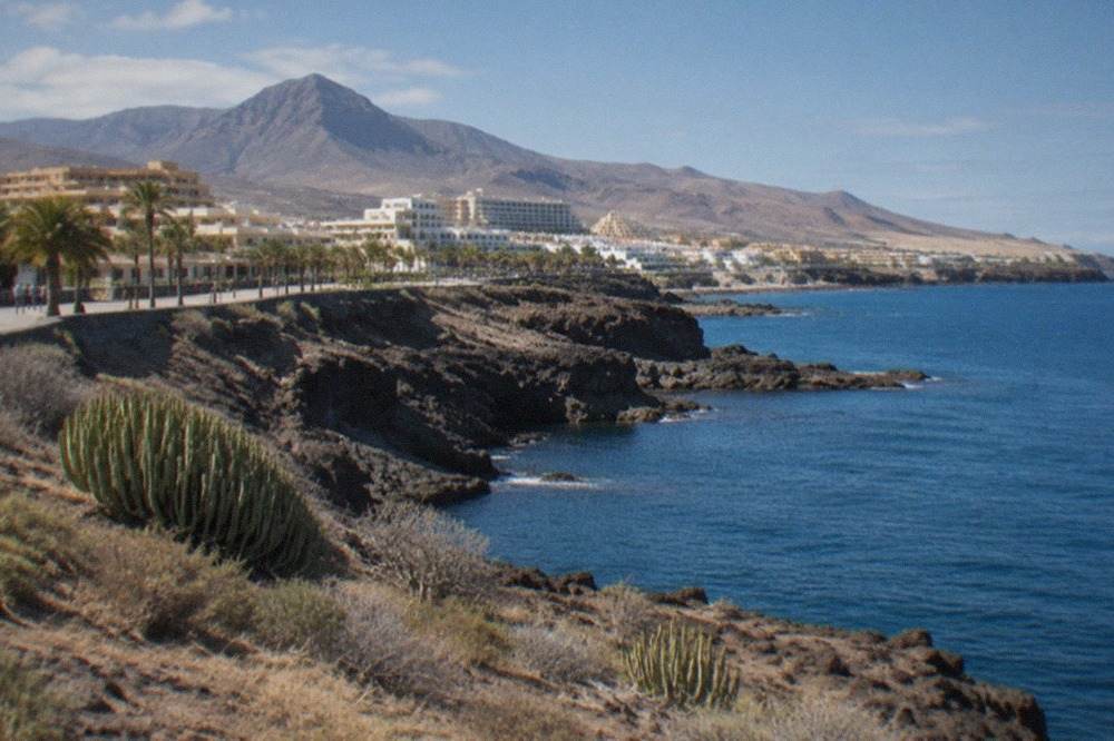 A volcanic coastline in Tenerife with dark cliffs meeting calm blue water under a clear sky