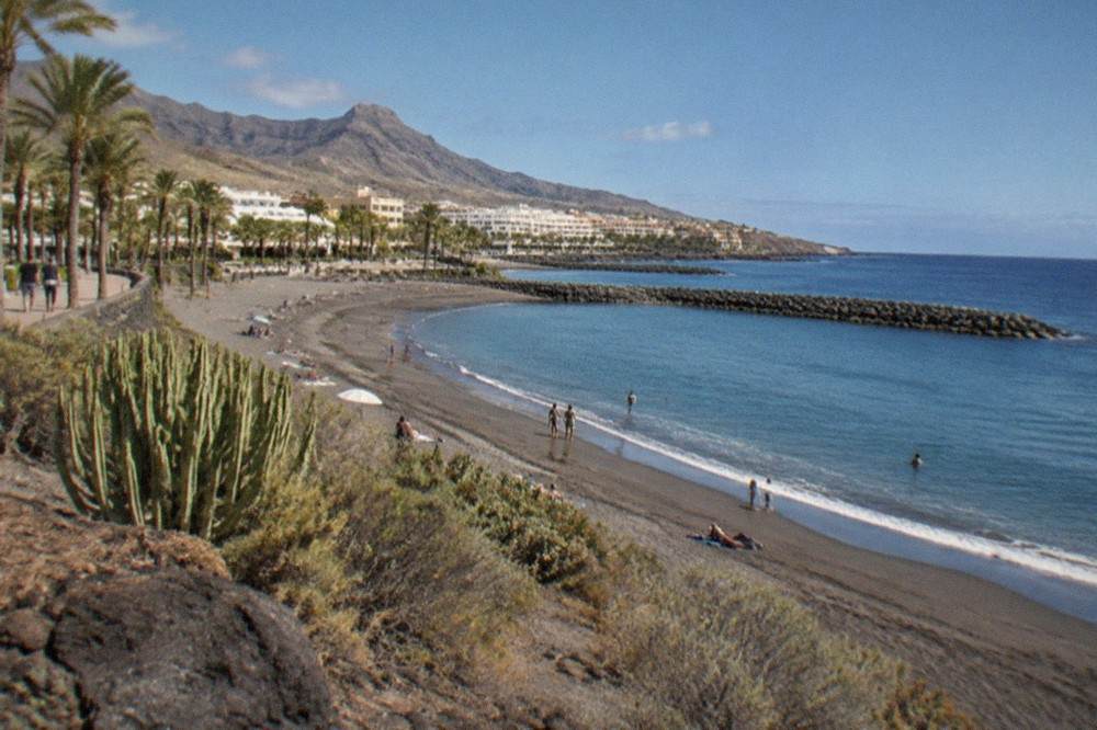 A golden sandy beach in Tenerife with palm trees and calm water behind stone breakwaters