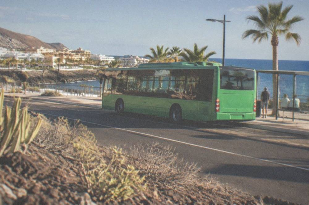 A green island bus at a stop on a coastal road in Tenerife