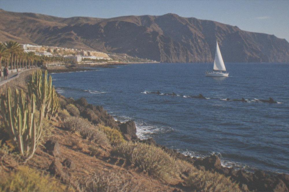 A sailboat near tall sea cliffs with a pod of pilot whales surfacing in dark blue water