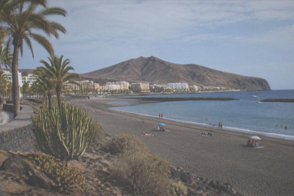 A wide golden-sand beach with palm trees and calm water behind breakwaters in Tenerife