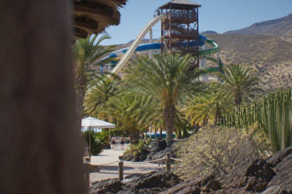 A tall water slide tower rising above palm trees at a Tenerife water park