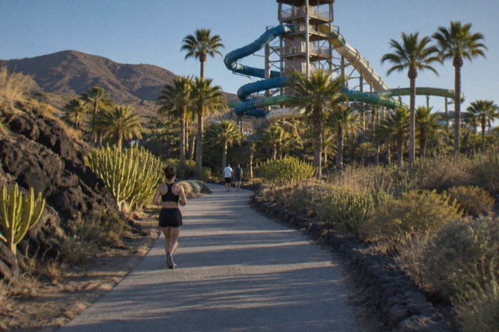 A tall water slide tower rising above palm trees under a blue sky