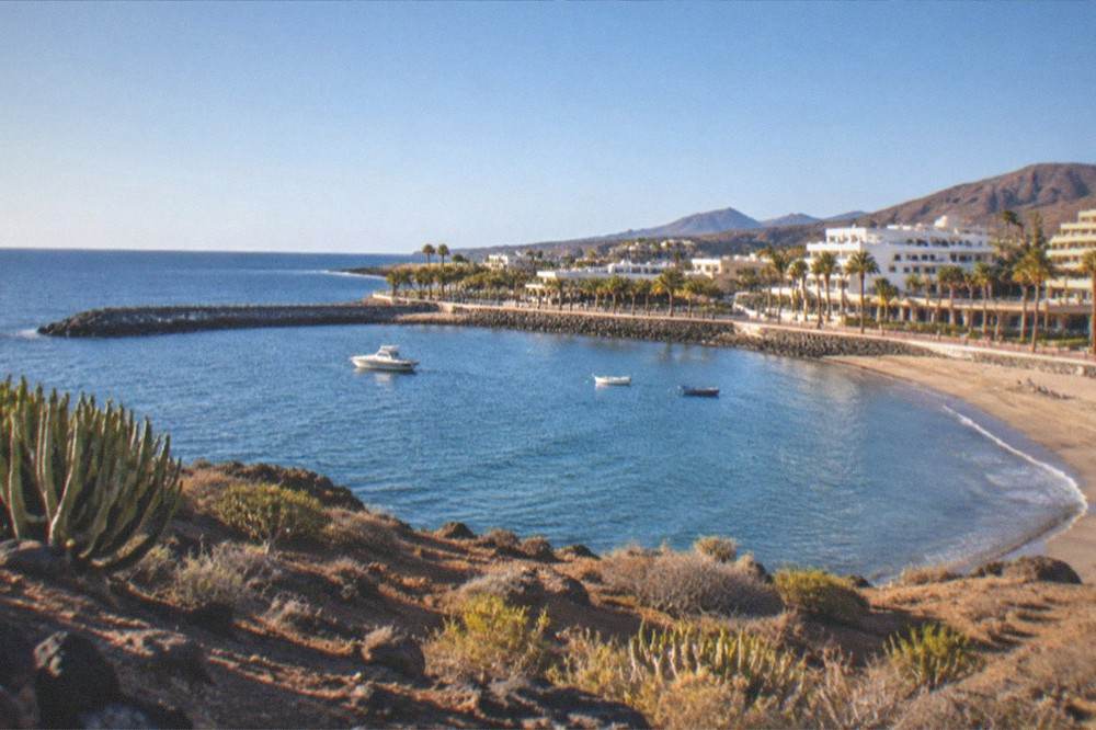 Palm trees and a calm blue swimming bay in bright sunshine