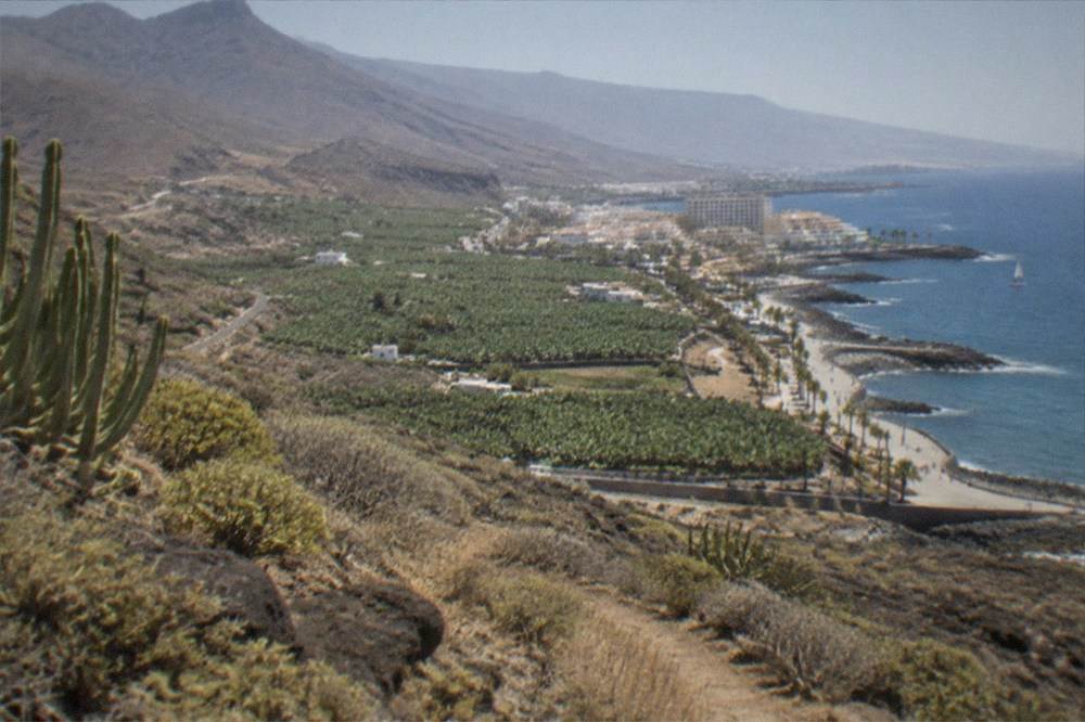 A green valley with banana plantations between mountains and the sea