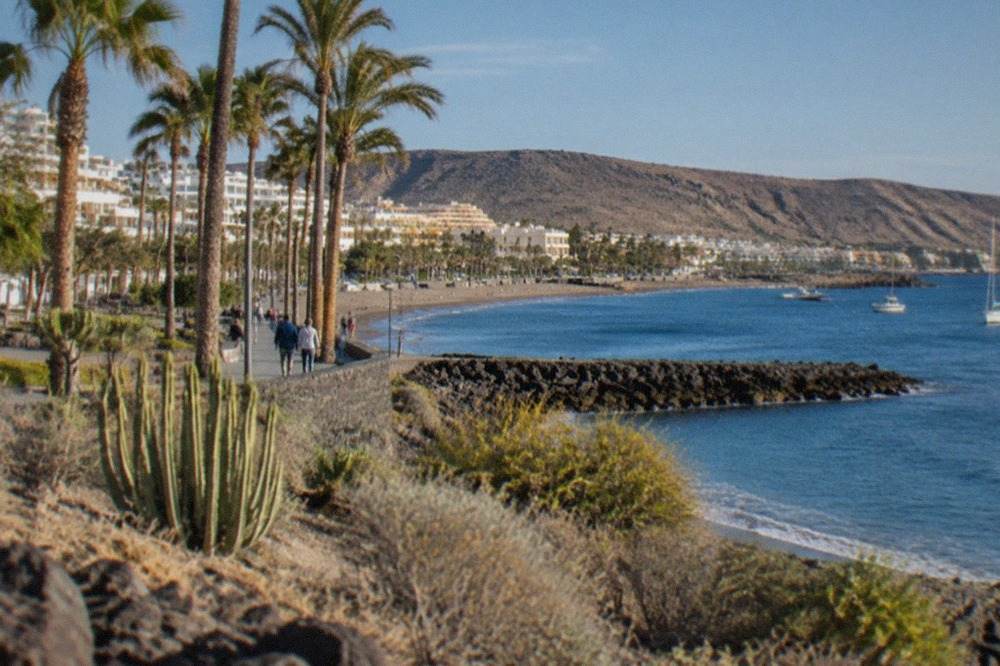A sunny coastal promenade in Tenerife with palm trees and calm blue sea in winter