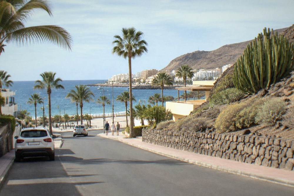 A quiet residential street with palm trees near the coast in south Tenerife