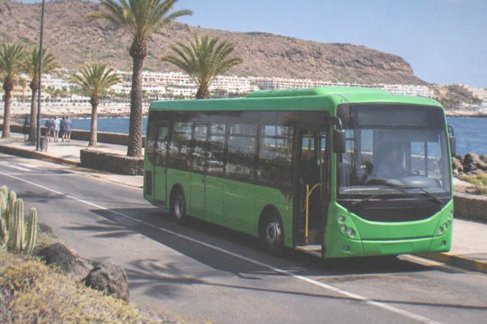 A green island bus at a stop on a Tenerife road
