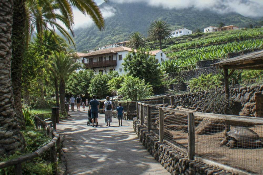 Families walking along a shaded path between palm trees and animal enclosures in a zoo