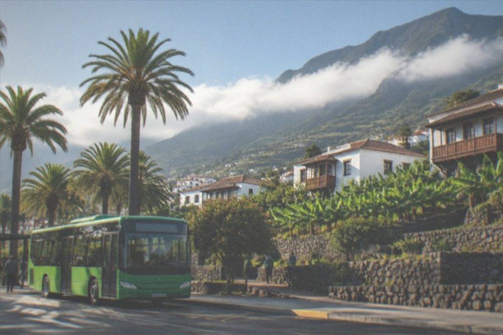 A green public bus waiting at a sunny roadside stop near palm trees