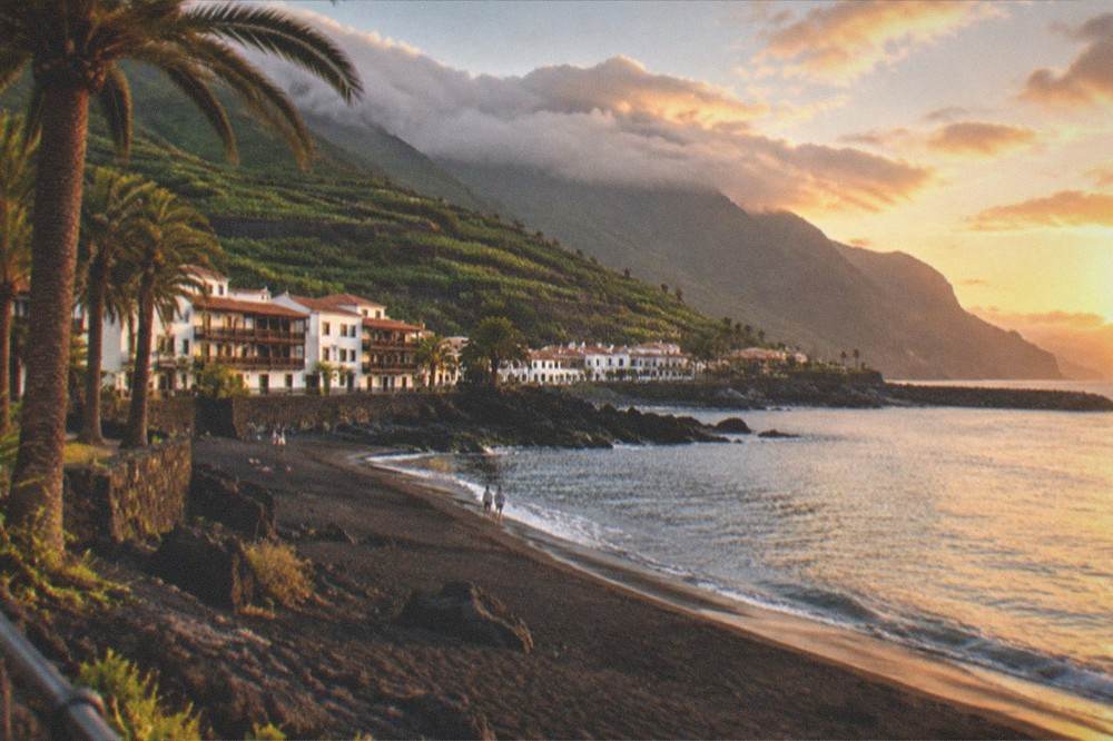 A palm-lined beach with calm water and a breakwater in the distance