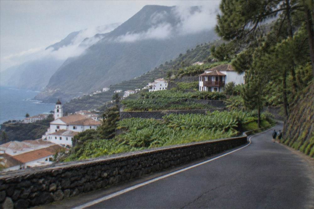 A road winding through pine forest towards volcanic peaks