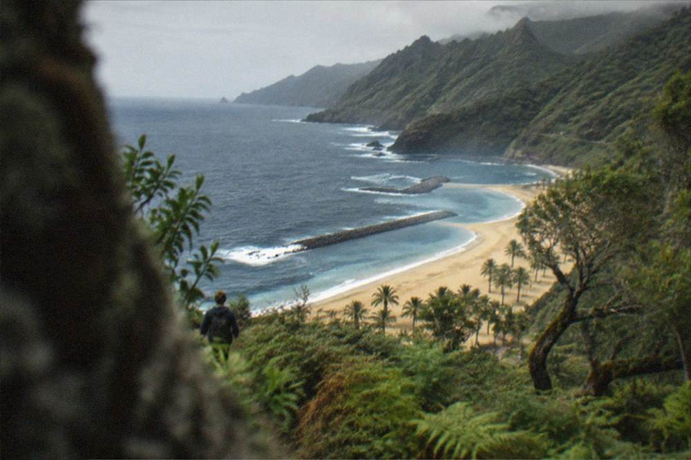 The golden sand and palm trees of Las Teresitas beach with breakwaters in the bay