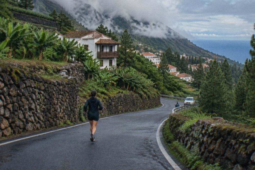 A mountain road winding through green pine forest on the northern slopes of Tenerife