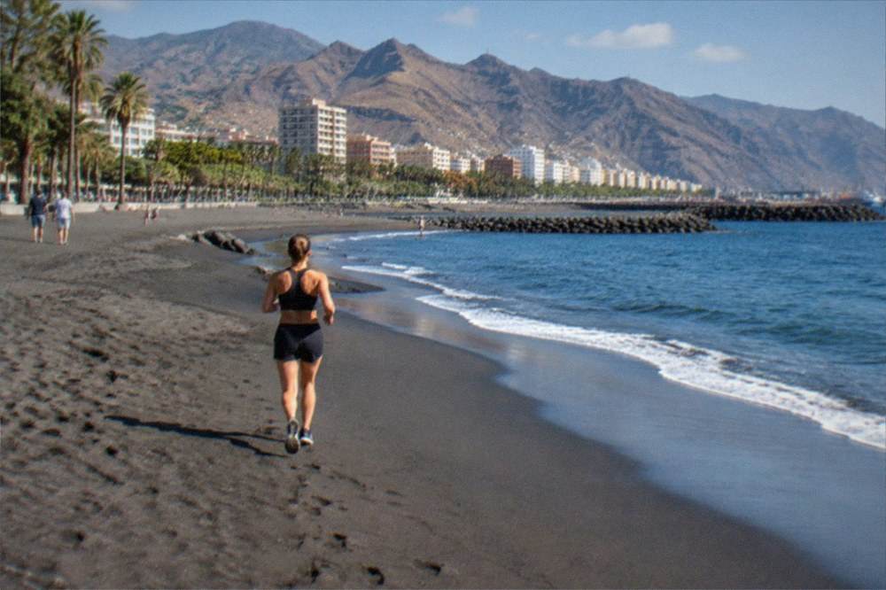 A wide golden sandy beach lined with palm trees and sheltered by stone breakwaters