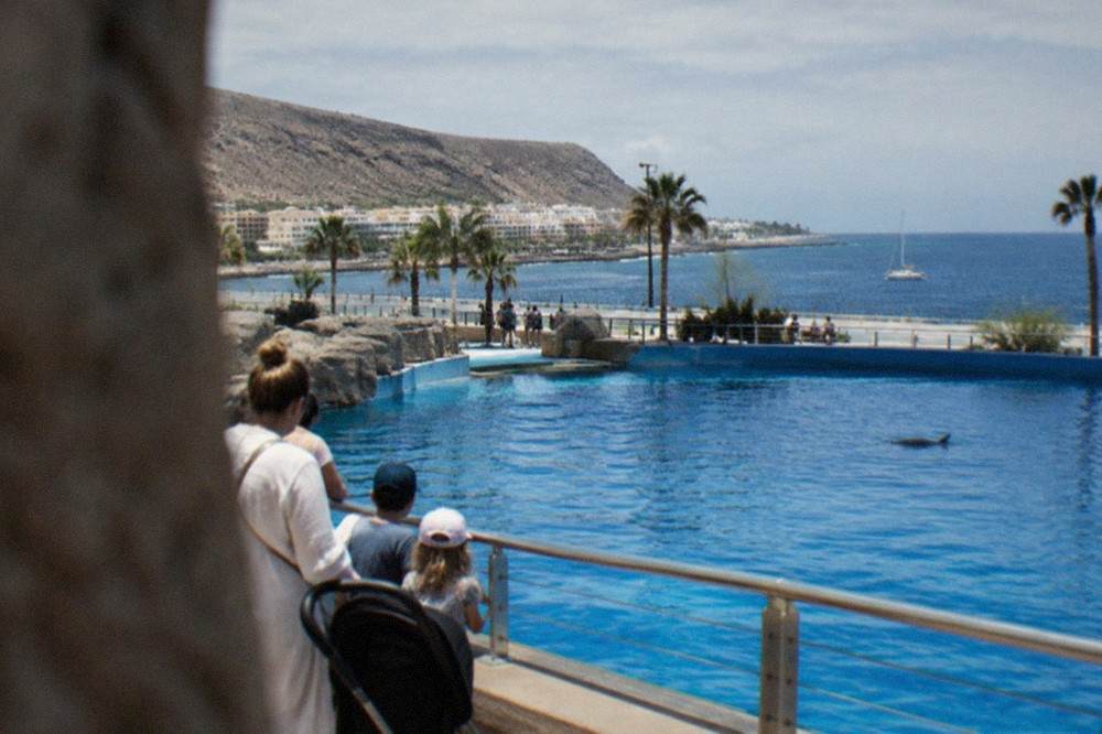 Families beside a large blue pool at an animal park in northern Tenerife