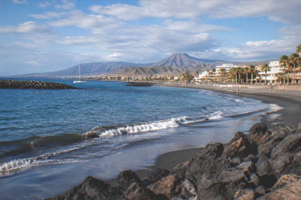 A calm golden-sand beach with palm trees and breakwaters under a morning sky