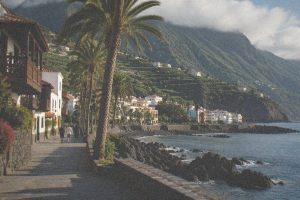A coastal promenade in south Tenerife with palms and a calm sea