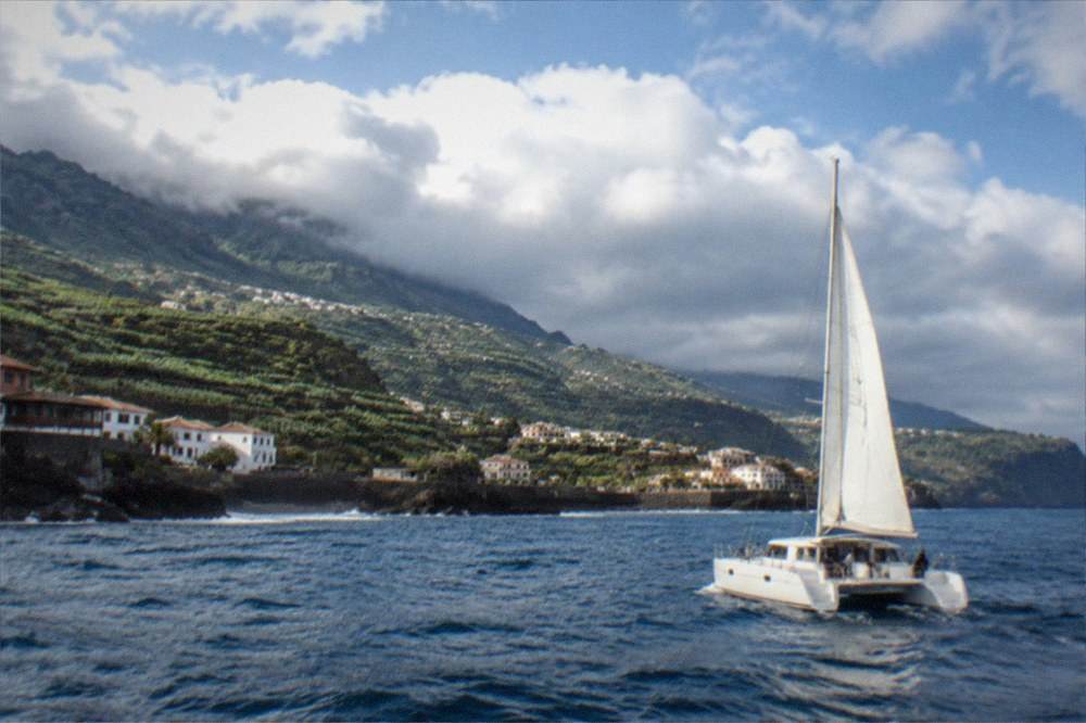 A catamaran on open water with a forested island on the horizon