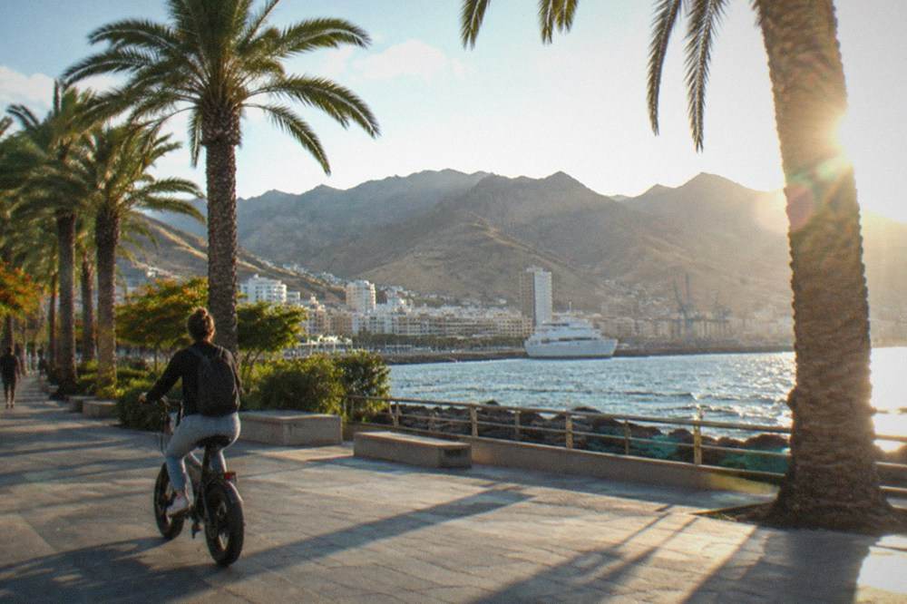 A rider on an electric bike passing palm trees along a seafront promenade