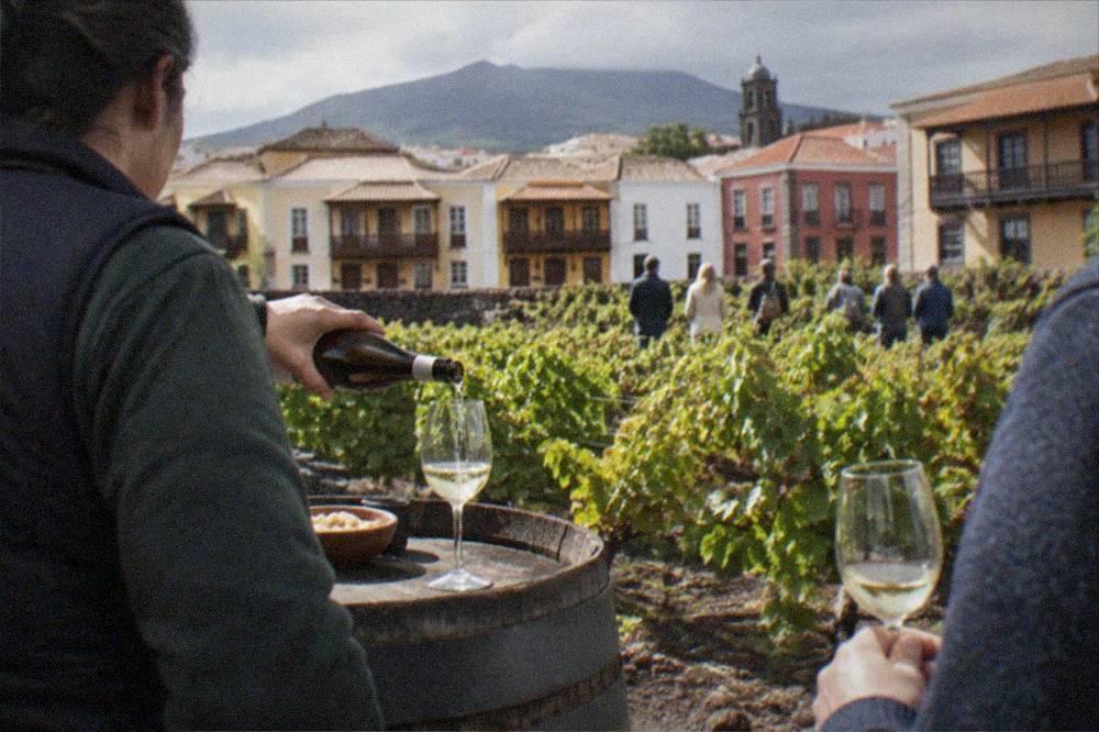 A guide pouring wine for a small group of visitors standing among vines at a Tenerife winery