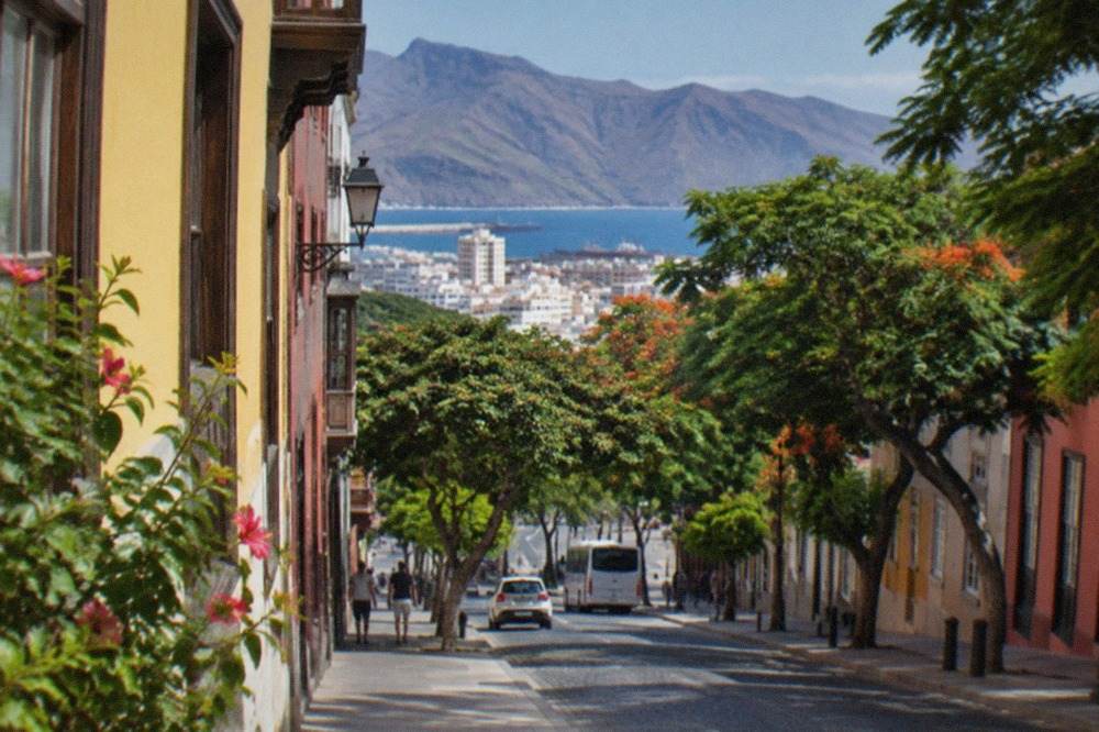 A tree-lined colonial street with colourful facades in the historic centre of Santa Cruz de Tenerife