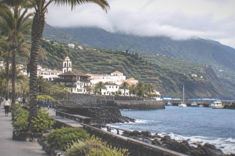 A seafront promenade in Puerto de la Cruz with palm trees and the old harbour beyond