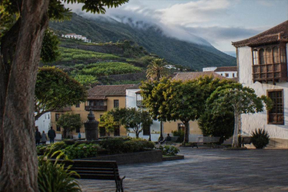 A public square with trees and benches in La Laguna's old town